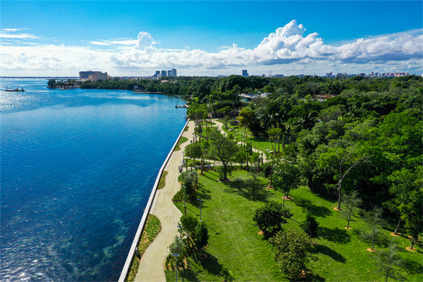 Alice Wainwright Seawall and Baywalk Arial View