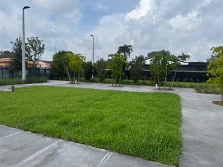 Photo of the newly renovated Badia center courtyard area