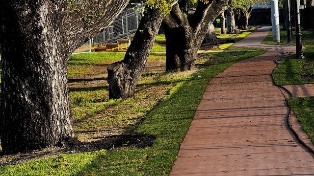 Douglas Park Dog Run Construction Progress Photo. Pathway.