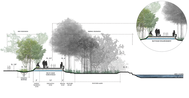 Legion Park Living-Shoreline Section A Image