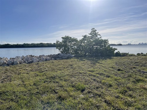 Legion Park New Shoreline Photo 2