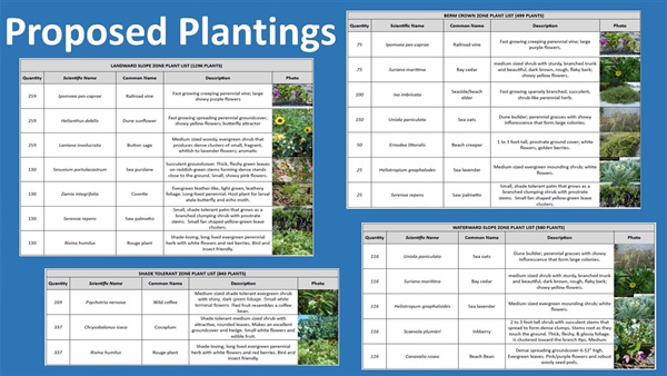 Peacock Park Community Meeting Presentation. Slide 13 - Proposed Plantings
