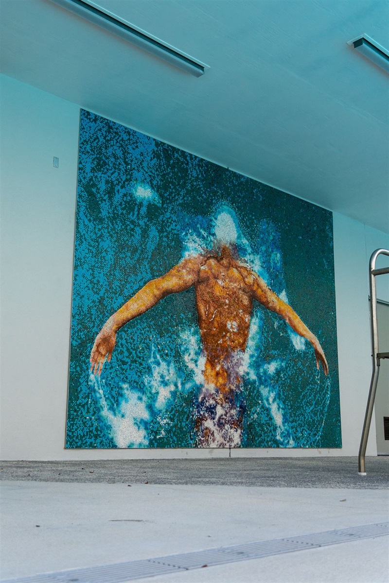 Shenandoah Pool New Swimmer Art Work