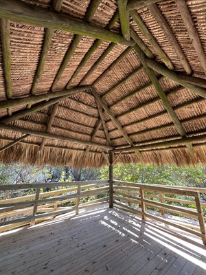 Photo of the new tiki hut on Spoil Island E 