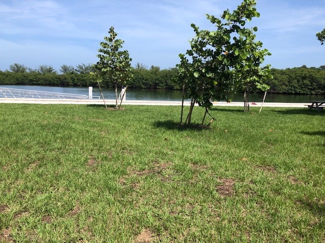 Grass area in front of the Virginia Key Kayak Launch 