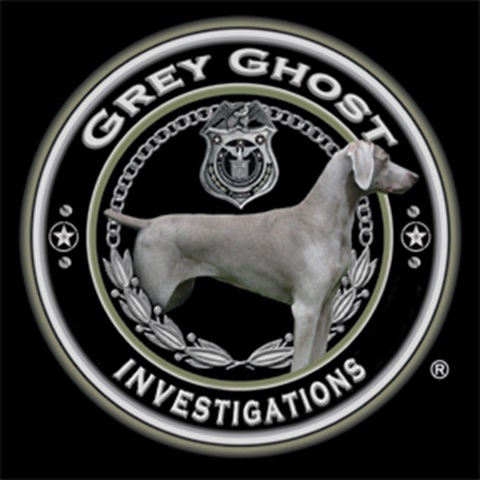 Grey Ghost - Private Investigator MIami (2).jpg