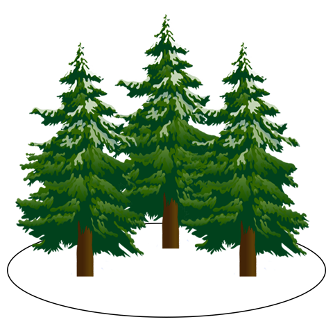 Solidify Financial Solutions.png