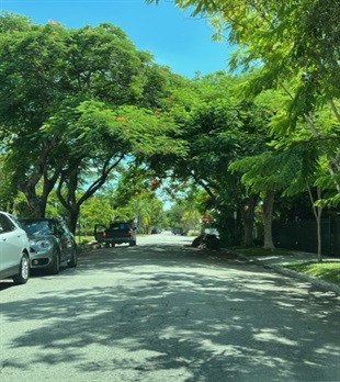 Very-Poor-Roads-2.jpg