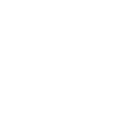 city of miami seal in white
